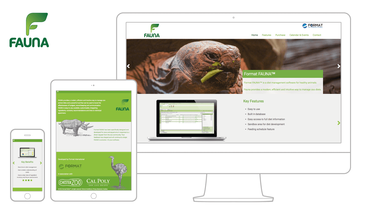 Website development
