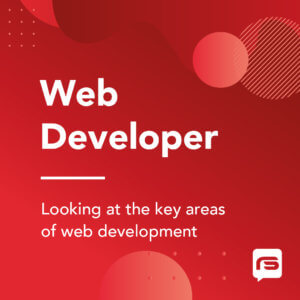 Web Developer