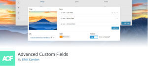 Advanced Custom Fields